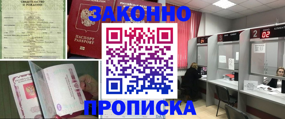 прописка в квартире в Бабаево